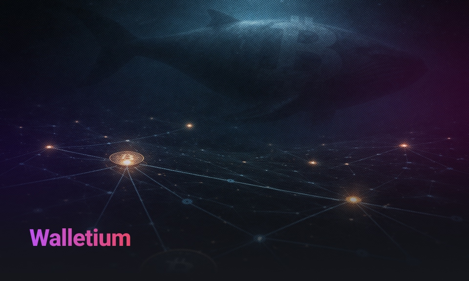 حيتان البيتكوين صامتة: انخفاض المعاملات الكبيرة